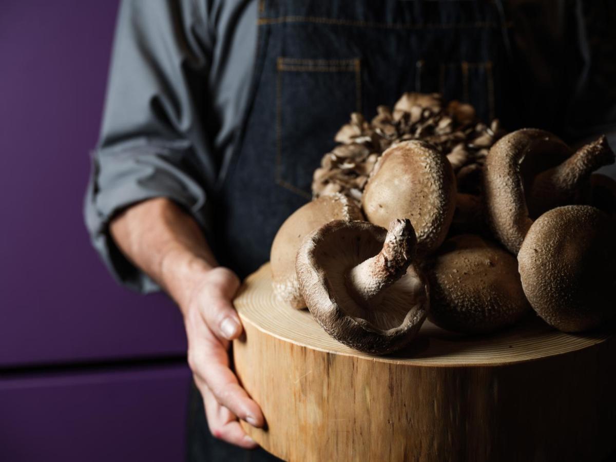 Hyatt Centric Kanazawa Esterno foto Shiitake mushrooms
